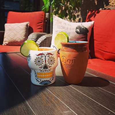 Regal Beagle Macleod