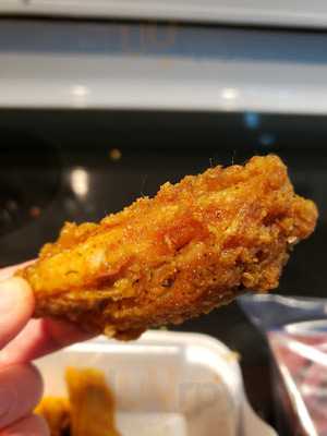 Regal Beagle Macleod