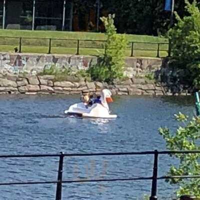 L'ambroisie Et L'espace Canal