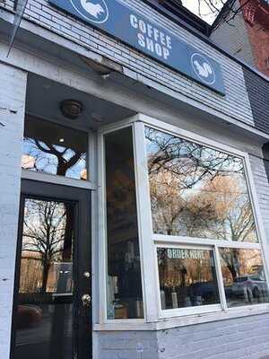 White Squirrel Coffee Shop