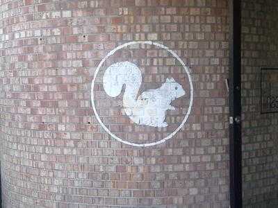 White Squirrel Coffee Shop