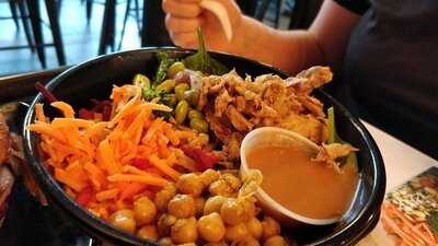 Copper Branch - Mont-royal Est