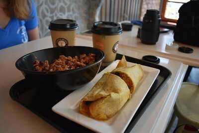 Copper Branch - Mont-royal Est