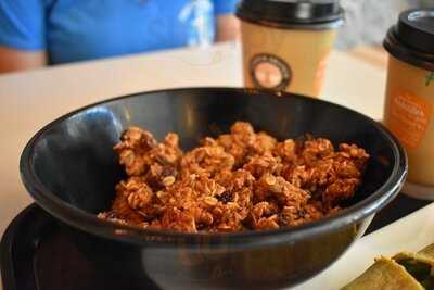 Copper Branch - Mont-royal Est