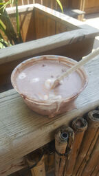 The Beach Shack Ottawa