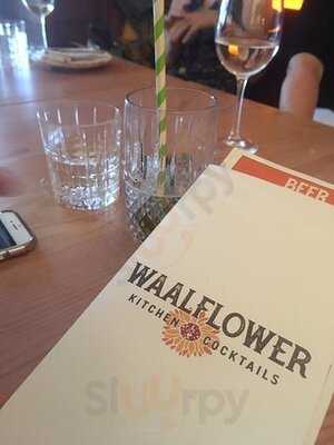 Waalflower