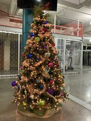 Delice Pastryshop & Bakery