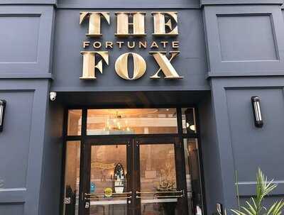 The Fortunate Fox