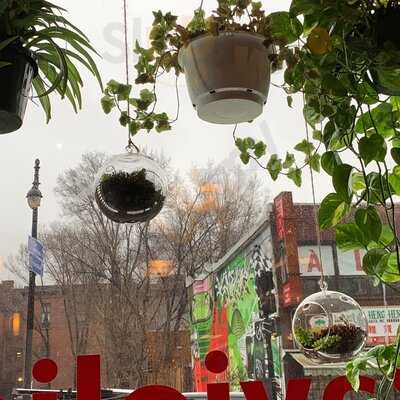 Raviolis Mai Xingyuan