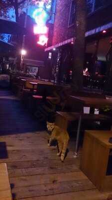 Le Salon Miss Villeray