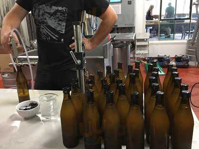 Les Sans-taverne - Coop Et Brasserie Artisanale