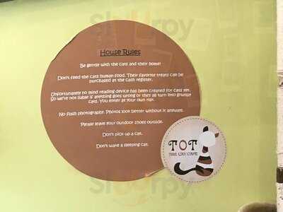 Tot Cat Cafe