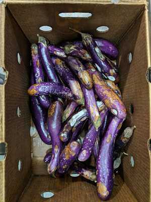 Thai Express Restaurant Calgary