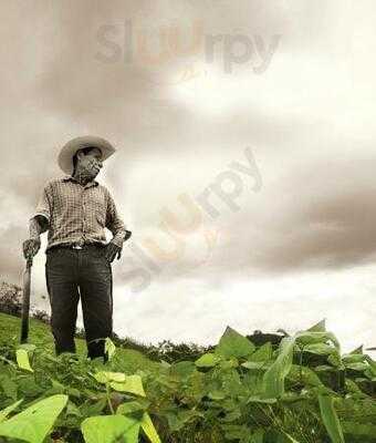 Terra Coffee And Ariel Tea