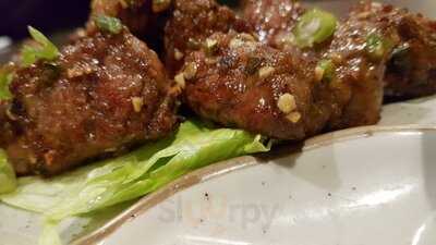 New Generation Grill Fusion