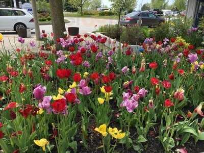 Dogfish Pub & Eatery