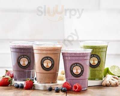 Copper Branch - Alexis Nihon