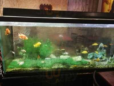 Wok N Roll Restaurant