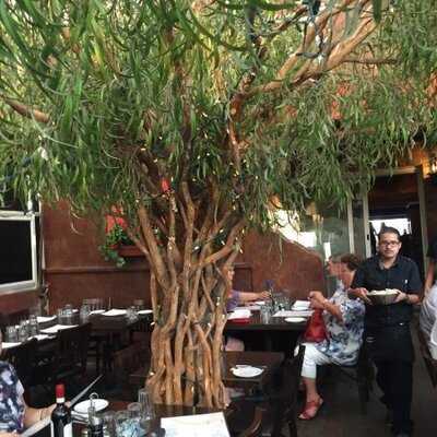 Trattoria Piatto Pieno