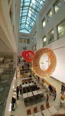 Vanellis Place Dupuis