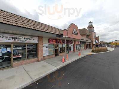 Double Double Pizza Chicken