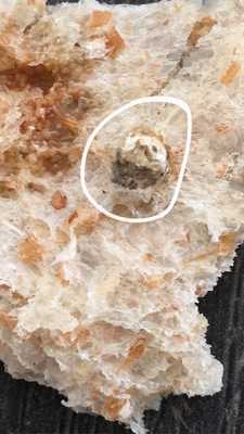 Kabul Restaurant & Bakery