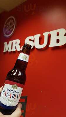 Mr. Sub