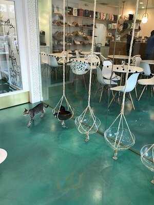 Regal Cat Cafe