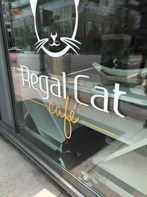 Regal Cat Cafe