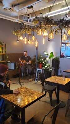 Beans Around The World