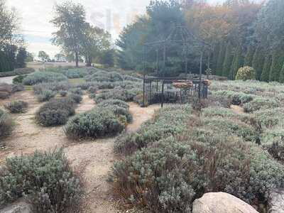 Bistro 42 @ North 42 Degrees Estate Winery