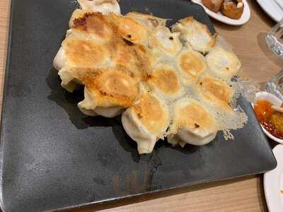 Impression Dumplings