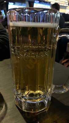 The Canadian Icehouse