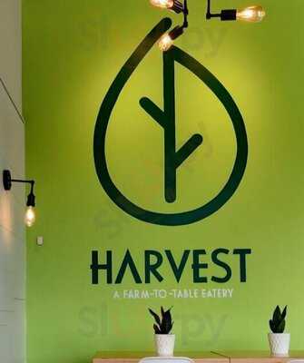 Harvest | Clean Eats (bedford)