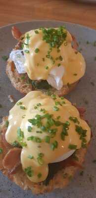 Modern Electric Lunch