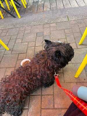 Basecamp Burger Joint