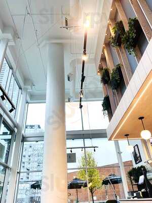 Trees Cheesecake And Organic Coffee (surrey Central)