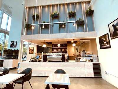 Trees Cheesecake And Organic Coffee (surrey Central)