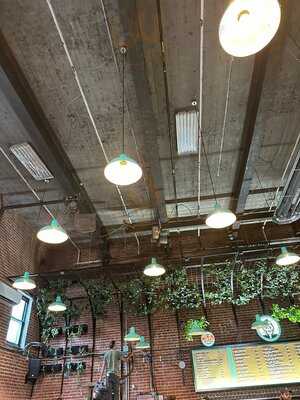 Messorem Bracitorium