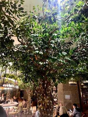 Pigeon Cafe & Bar - Mcgill