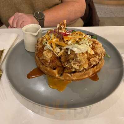 Habitat Social Cafe & Bar