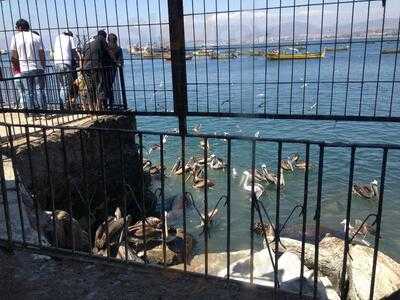 La Terraza De La Mamy