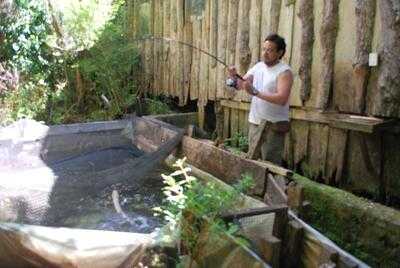 Puerto Tinquilco Restaurante