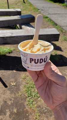 Helados Pudú