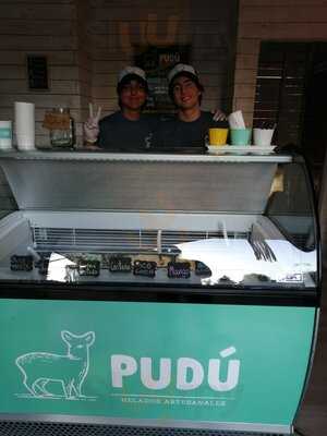 Helados Pudú