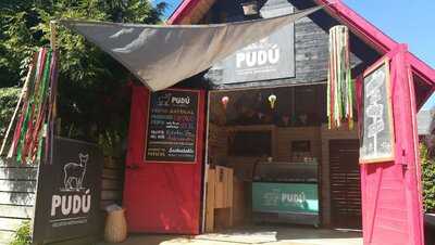 Helados Pudú