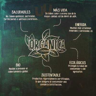 Cafetera Orgánica