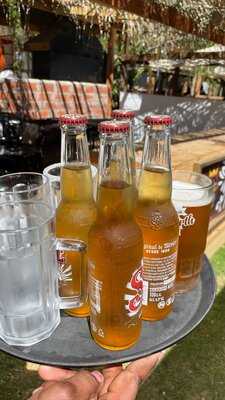 Turquesa Beef & Fish