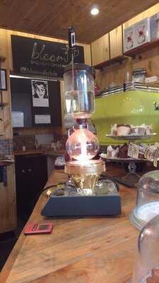 Bloom Café
