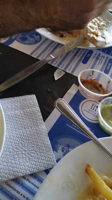 Mi Viejo Lobo De Mar